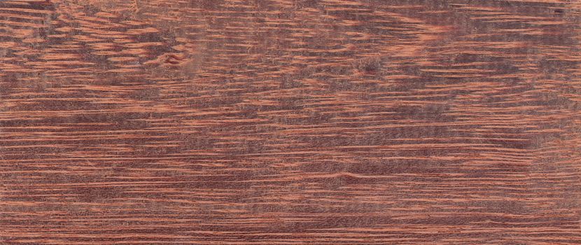 Wood background - Wood from the tropical rainforest - Suriname - Andira Coriacea Pulle