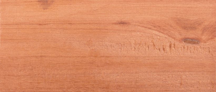 Wood background - Wood from the tropical rainforest - Suriname - Tetragastris altissima