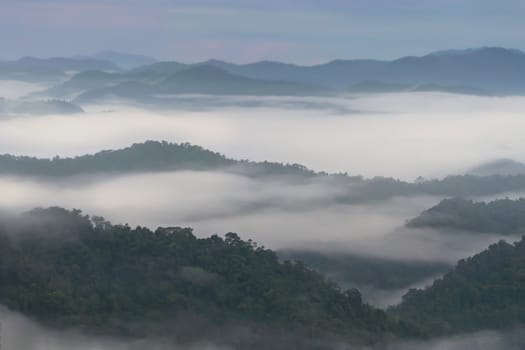 Foggy landscape in the mountains . Beautiful morning 