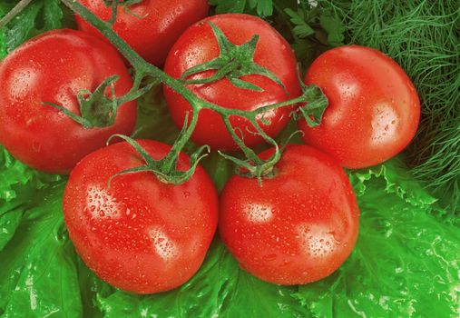 Ripe red tomatoes 