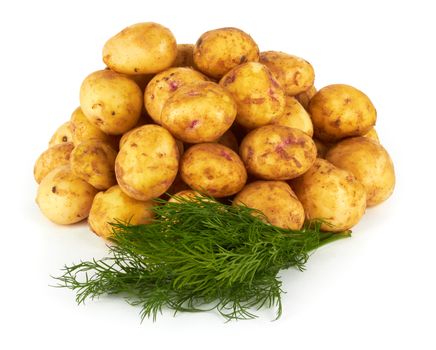 young potatoes on white background
