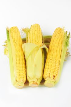 fresh corn vegetable with green leaves closeup