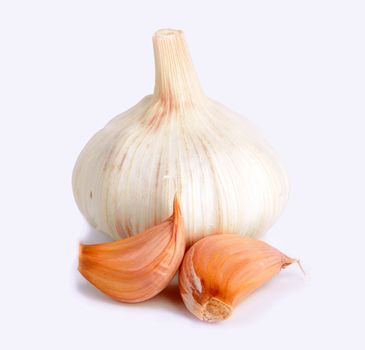 Garlic on a white background 