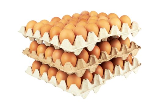Group of fresh eggs in pater tray 