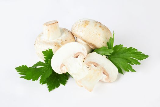 Fresh mushroom on white background 