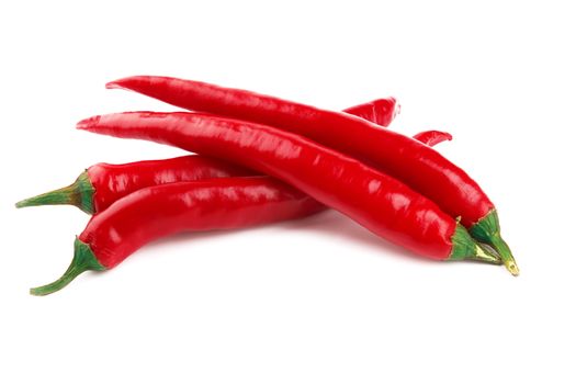 chili pepper isolated on a white background 