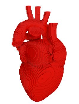 3d printed heart isolated on white background. Concept 3d printing of internal organs. 3D illsutration