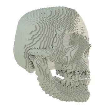 3d printed skull isolated on white background. 3D illustration