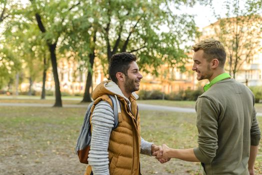 Two handsome youngsters shaking hands after seeing each other after long time