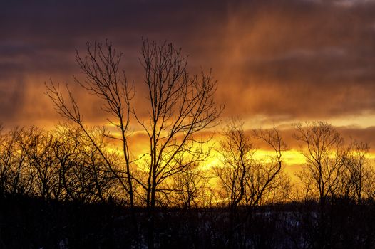 The beautiful sunrise in the otowa bridge tsuruimura of Hokkaido, Japan.