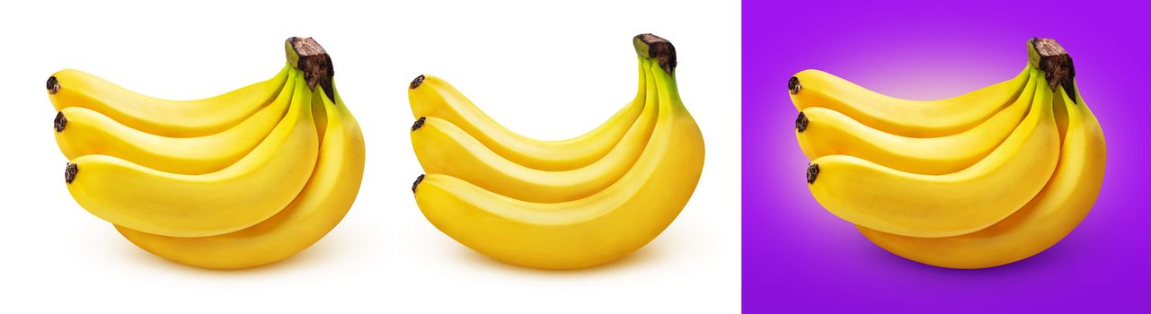Bunch of bananas isolated on white and purple background with clipping path