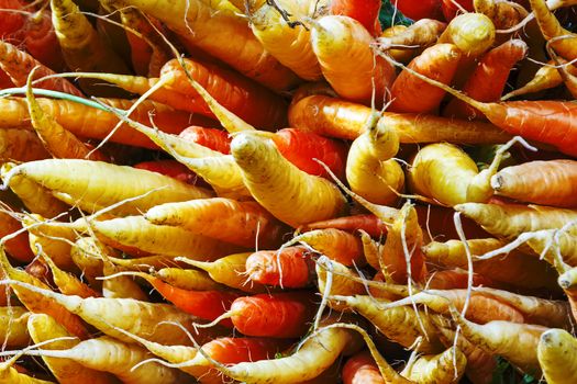 Bunch of organic carrots on a stall of an urban farmer market