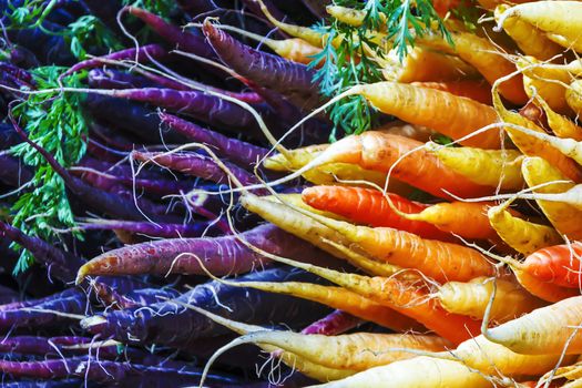 Bunch of organic carrots on a stall of an urban farmer market