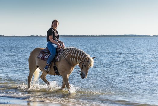 girl riding on haflinger horse during sunset in the sea