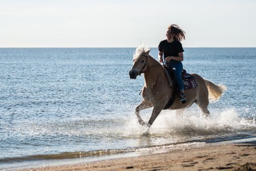 girl riding on haflinger horse during sunset in the sea