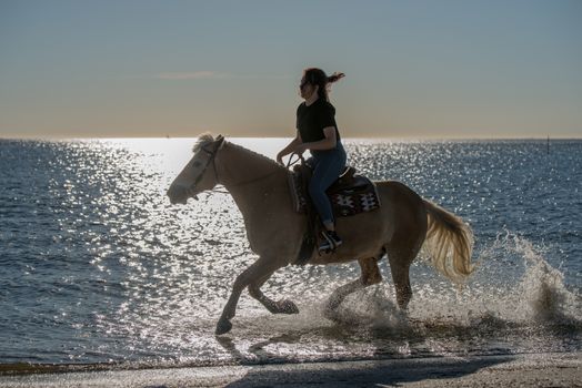 girl riding on haflinger horse during sunset in the sea