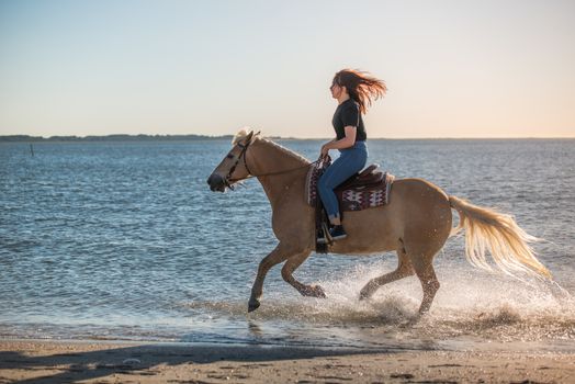 girl riding on haflinger horse during sunset in the sea