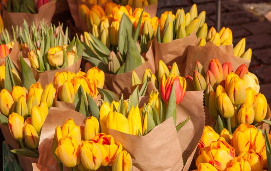 Yellow tulips on display at the farmers market in March