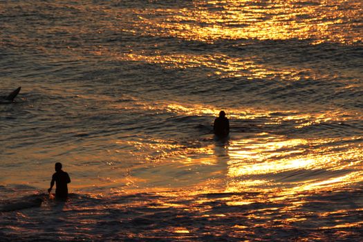 People swimming and surfing at sunset