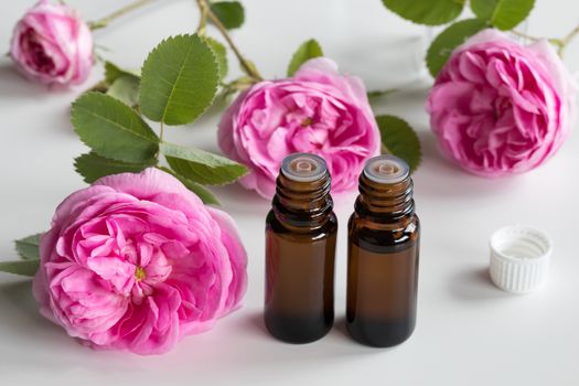 Two bottles of rose essential oil with rose flowers on a white background
