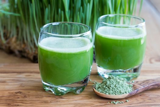Two green barley grass shots on a wooden background, with fresh young barley in the background