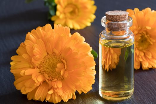 A transparent bottle of calendula essential oil with calendula flowers on a dark background