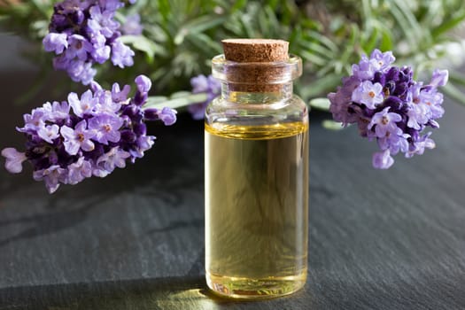 A transparent bottle of lavender essential oil on dark stone, with lavender twigs in the background