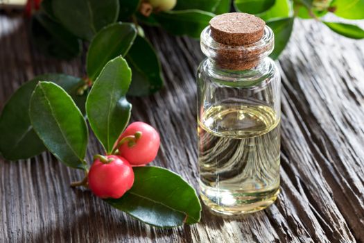 A bottle of wintergreen essential oil on old wood, with wintergreen leaves and berries in the background