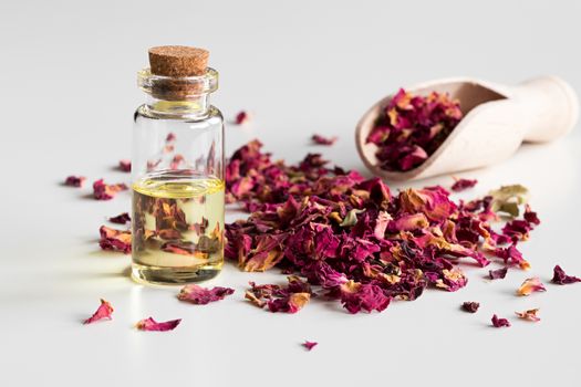 A bottle of rose essential oil with dried rose petals on white background