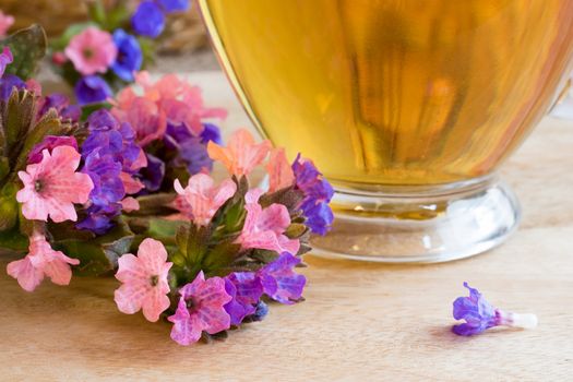 Fresh lungwort (pulmonaria) flowers with a cup of lungwort tea