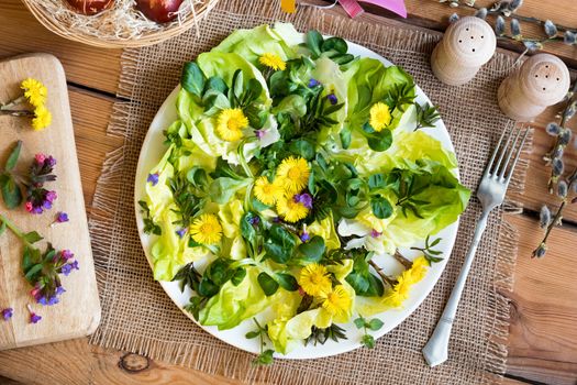 Salad with lettuce and wild edible plants (coltsfoot, chickweed, lungwort, ground elder leaves), top view