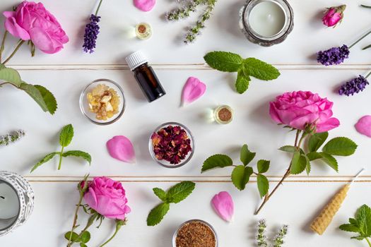 Bottles of essential oil with roses, peppermint, lavender and other herbs and flowers on a white background