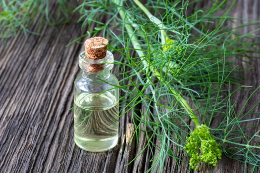 A bottle of dill seed oil with fresh blooming Anethum graveolens twigs
