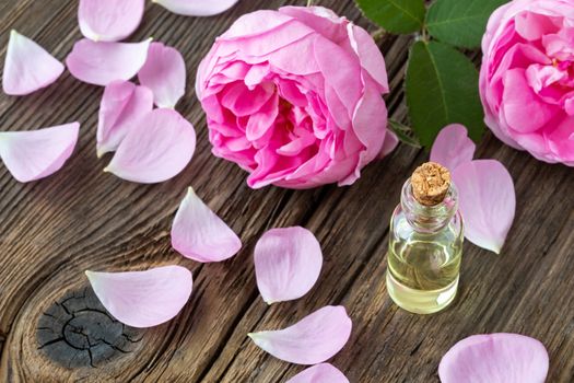 A bottle of essential oil with fresh roses on a wooden background