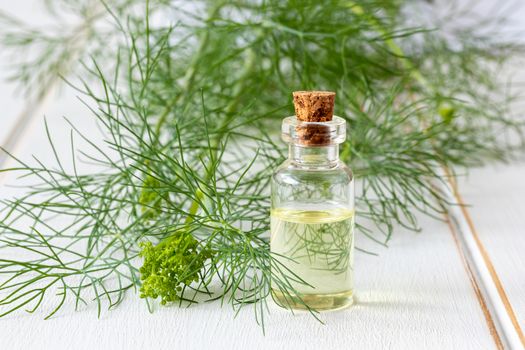 A bottle of dill seed oil with fresh blooming Anethum graveolens twigs