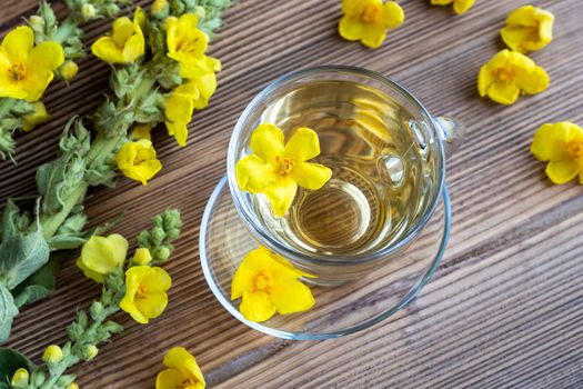 A cup of herbal tea with fresh mullein flowers