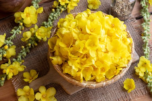 Fresh denseflower mullein flowers in a wicker basket