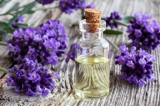 A bottle of essential oil with fresh lavender on a rustic wooden background