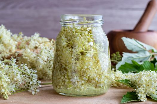 A jar filled with meadowsweet blossoms and alcohol, to prepare homemade tincture