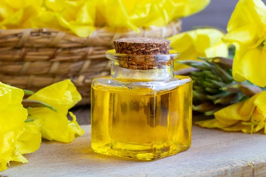 A bottle of evening primrose oil with fresh blooming plant 