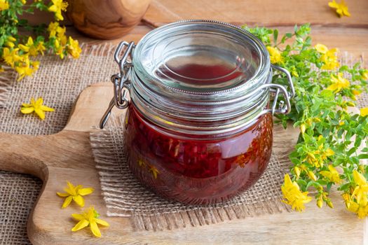 St. John's wort flowers macerating in oil, to prepare a herbal remedy