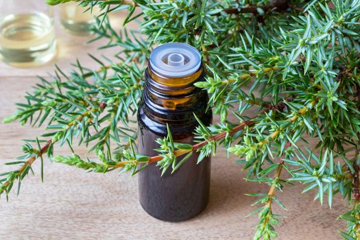 A bottle of essential oil with fresh juniper branches