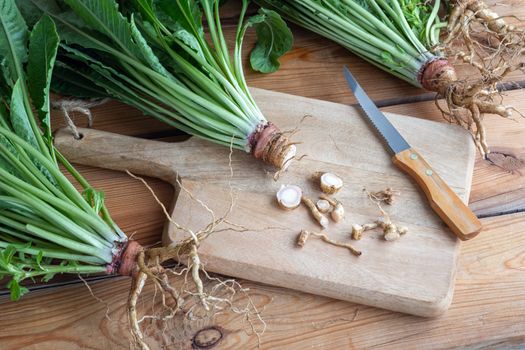 Cut-up fresh evening primrose root on a cutting board