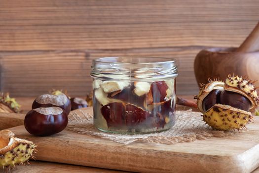 Preparation of alcohol tincture from fresh horse chestnuts