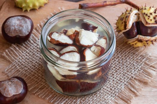 Preparation of alcohol tincture from fresh horse chestnuts