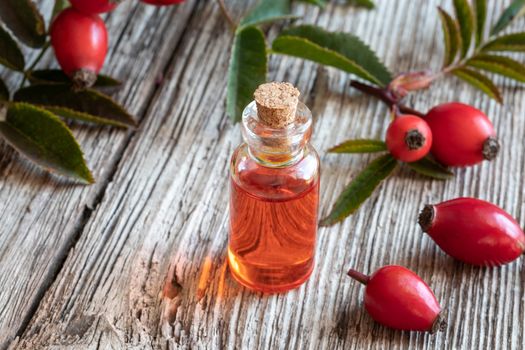 A bottle of rosehip seed oil with ripe berries