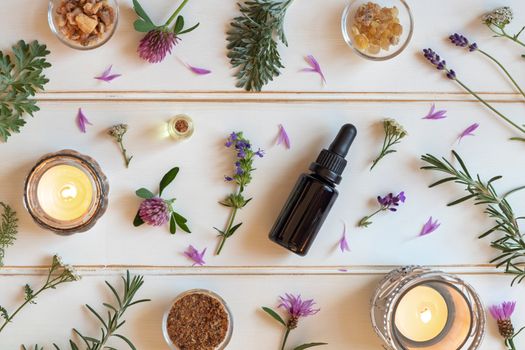 Bottles of essential oil with frankincense, hyssop, lavender and other herbs on a white background