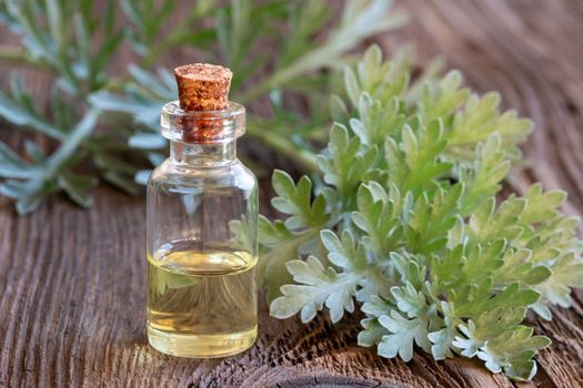 A bottle of wormwood essential oil with fresh Artemisia Absinthium twigs on a wooden background