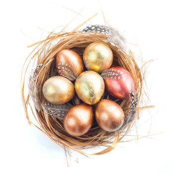Happy Easter holiday greeting symbol natural wooden grass nest with golden quail eggs and feathers studio isolated on white background