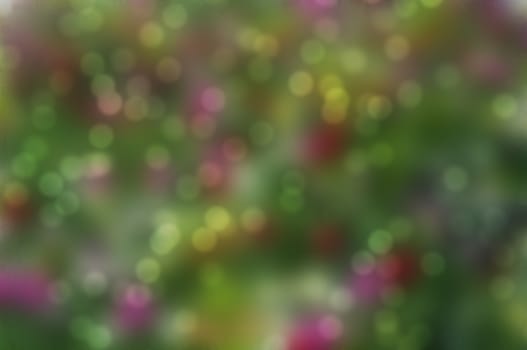 green red and yellow bokeh background with blurs